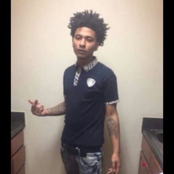 Meet your Posher, Logan - Picture 1 of 1